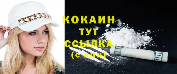 молекула духа Костерёво