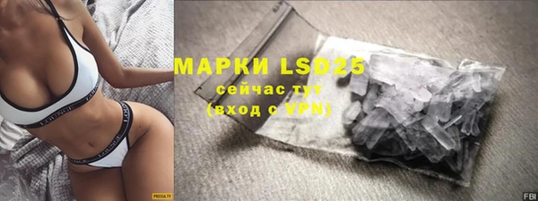 молекула духа Костерёво