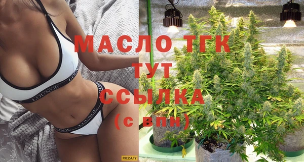 индика Пестово