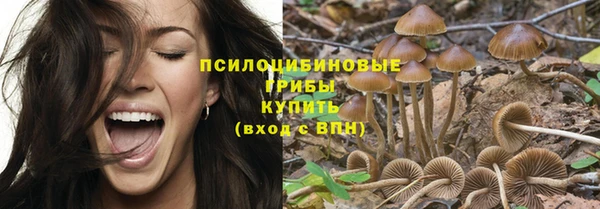 бошки Корсаков