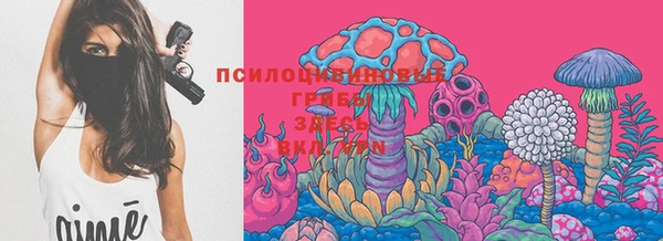 тгк Касимов
