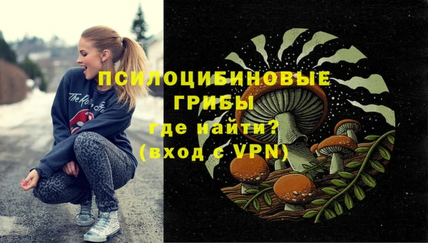 молекула духа Костерёво