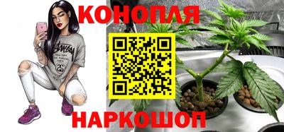 стафф Краснодар