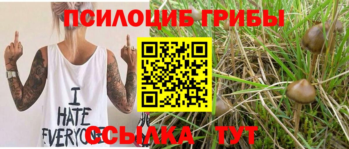 Псилоцибиновые грибы мухоморы Саяногорск