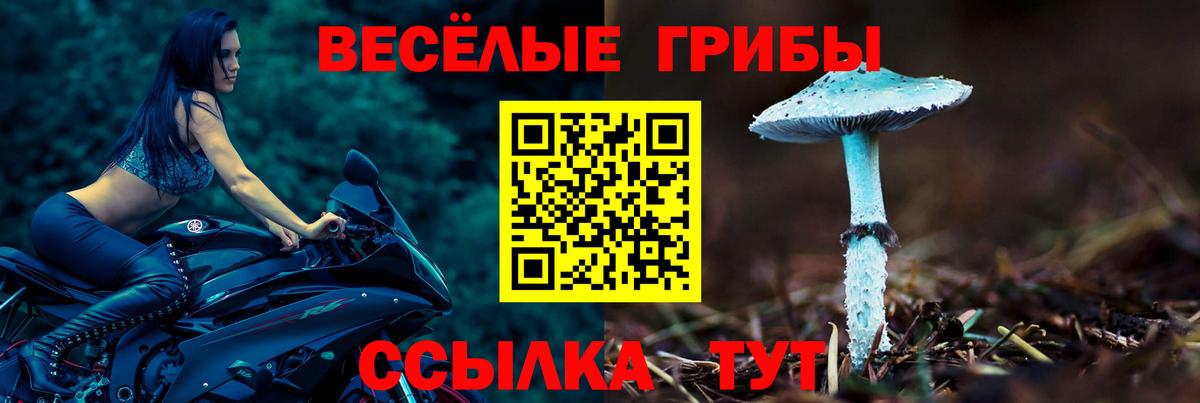 Саяногорск  Галлюциногенные грибы MAGIC MUSHROOMS  Псилоцибиновые грибы Psilocybine cubensis  Вход с VPN 